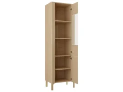 Aggarwal Vitrinskåp 60 cm med Belysning