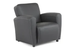 Aston Fåtölj Bonded Leather