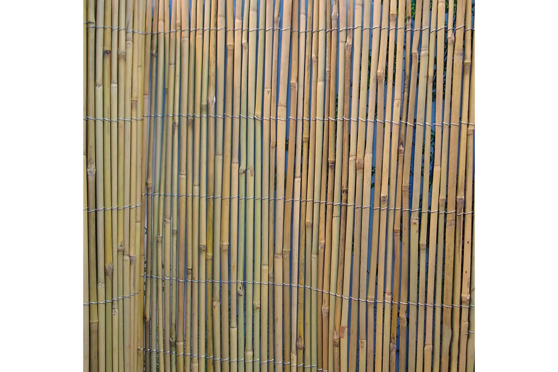 Bambusrottingstaket i trädgården 15x5m