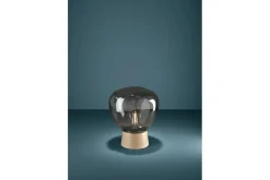 Bordslampa Eglo Magacela Grå/Transparent