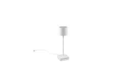 Bordslampa TRIO Fernandez Mattvit