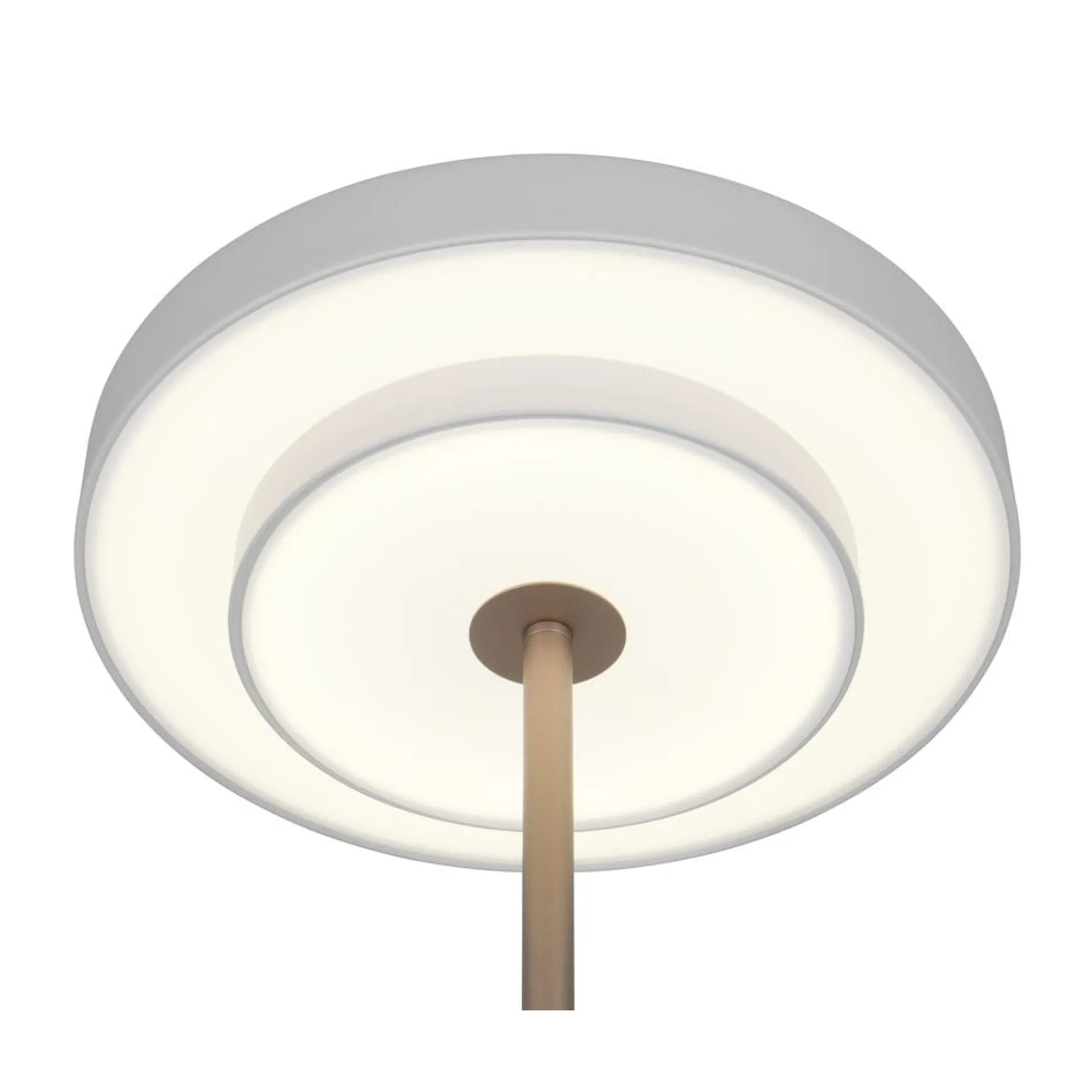 Bordslampa TRIO Keaton