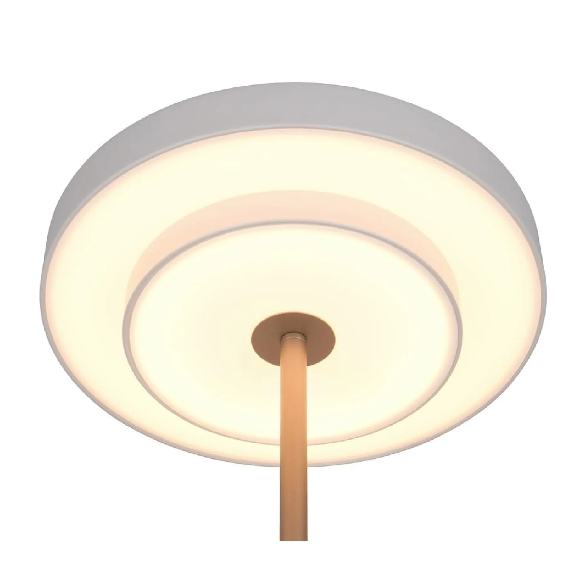 Bordslampa TRIO Keaton