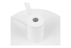 Bordslampa TRIO Manduro Mattvit