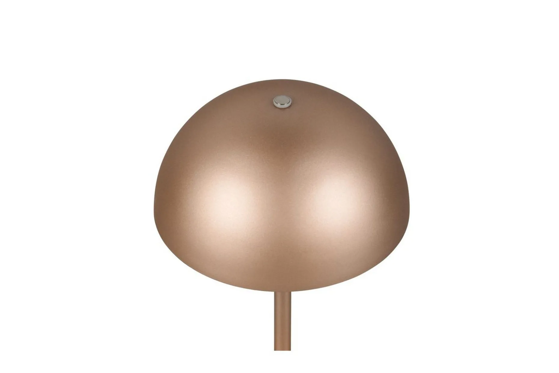 Bordslampa TRIO Munoz Kaffebrun