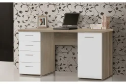 Bowlee Skrivbord 145 cm med Förvaring 4 Lådor + Skåp
