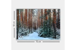 Canvastavla - Snötäckt skog med höga, raka tallar