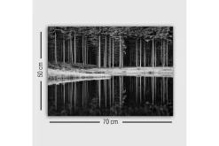 Canvastavla - Svartvit skogsscen med spegelbild i vattnet
