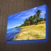 Canvastavla med LED-belysning - Vacker strand med palmer och klarblå himmel