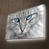 Canvastavla med LED-belysning - Närbild av en grå katt med blå ögon