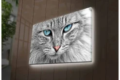 Canvastavla med LED-belysning - Närbild av en grå katt med blå ögon