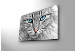 Canvastavla med LED-belysning - Närbild av en grå katt med blå ögon