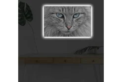Canvastavla med LED-belysning - Närbild av en grå katt med blå ögon