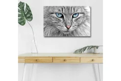 Canvastavla med LED-belysning - Närbild av en grå katt med blå ögon