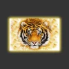 Canvastavla med LED-belysning - Tigerhuvud med intensivt uttryck