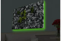 Canvastavla med LED-belysning - Grå stenig yta med gröna växter som växer fram
