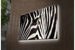 Canvastavla med LED-belysning - Närbild av en zebras ansikte med tydliga svarta och vita ränder