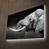 Canvastavla med LED-belysning - Svartvit elefant med hängande betar