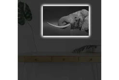 Canvastavla med LED-belysning - Svartvit elefant med hängande betar