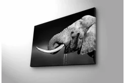 Canvastavla med LED-belysning - Svartvit elefant med hängande betar