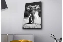 Canvastavla med LED-belysning - Storslagen elefant i svartvitt