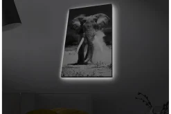 Canvastavla med LED-belysning - Storslagen elefant i svartvitt