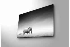 Canvastavla med LED-belysning - Svartvit bild av en elefant som går genom savannen med en zebra i bakgrunden