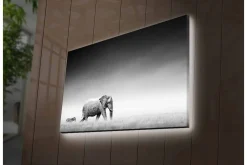 Canvastavla med LED-belysning - Svartvit bild av en elefant som går genom savannen med en zebra i bakgrunden