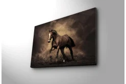 Canvastavla med LED-belysning 45x70 cm - Stolt häst i rörelse