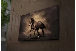 Canvastavla med LED-belysning 45x70 cm - Stolt häst i rörelse