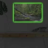 Canvastavla med LED-belysning - Grönskande skog med en porlande bäck
