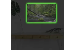 Canvastavla med LED-belysning - Grönskande skog med en porlande bäck