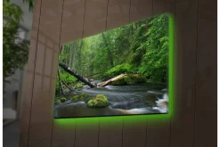 Canvastavla med LED-belysning - Grönskande skog med en porlande bäck