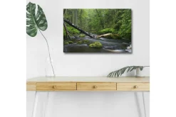 Canvastavla med LED-belysning - Grönskande skog med en porlande bäck