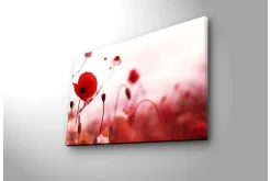 Canvastavla med LED-belysning - Röd vallmo i en mjukt suddig blomsteräng