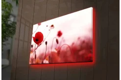 Canvastavla med LED-belysning - Röd vallmo i en mjukt suddig blomsteräng