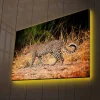 Canvastavla med LED-belysning - Leopard som smyger genom det torra gräset