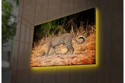 Canvastavla med LED-belysning - Leopard som smyger genom det torra gräset
