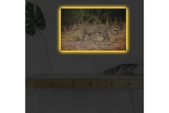 Canvastavla med LED-belysning - Leopard som smyger genom det torra gräset