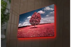 Canvastavla med LED-belysning - Ståtligt rosa träd på en färgglad äng