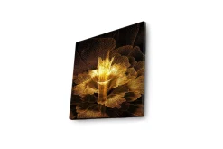 Canvastavla med LED-belysning 40x40 cm - Ljusstrålande blomma i abstrakt stil