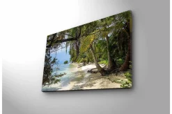 Canvastavla med LED-belysning - Tropisk strand med palmer och klart vatten
