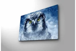 Canvastavla med LED-belysning - Uggla med snöiga detaljer och intensiva ögon