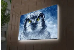 Canvastavla med LED-belysning - Uggla med snöiga detaljer och intensiva ögon