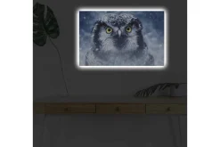 Canvastavla med LED-belysning - Uggla med snöiga detaljer och intensiva ögon