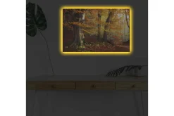 Canvastavla med LED-belysning - Höstlandskap med färgglada träd och löv