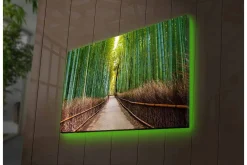 Canvastavla med LED-belysning - Grön bambuskog med en stig som leder genom träden