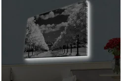 Canvastavla med LED-belysning - Svartvit landskapsbild med trädallé och hus i bakgrunden