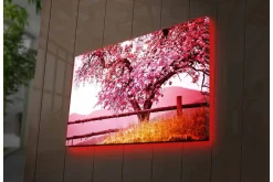 Canvastavla med LED-belysning - Blommande körsbärsträd i en idyllisk landskapsmiljö
