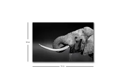 Canvastavla med LED-belysning - Elefant i svartvitt med detaljerad textur
